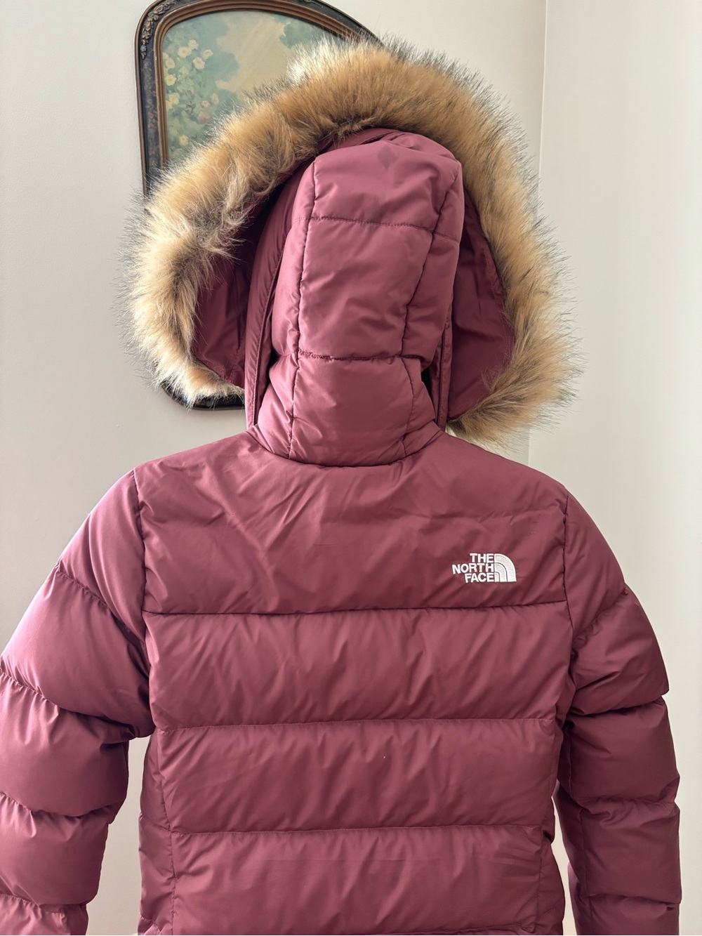 The North Face Gotham Hooded Down Jacket in Wild Ginger Mauve Size S - Picture 7 of 16
